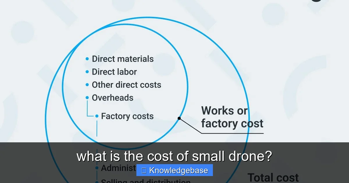 what is the cost of small drone? - content1 visual guide