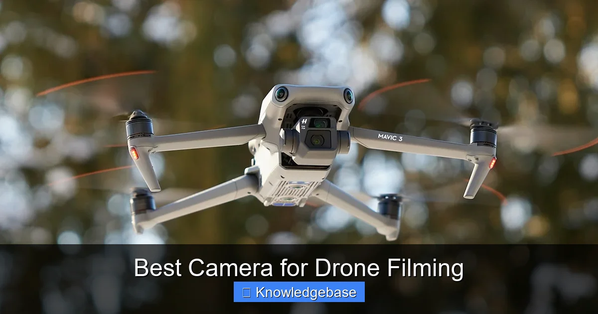 Best Camera for Drone Filming - content1 visual guide