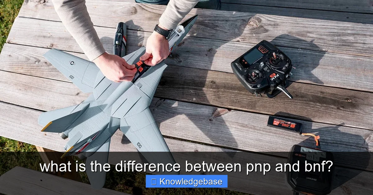what is the difference between pnp and bnf? - content1 visual guide