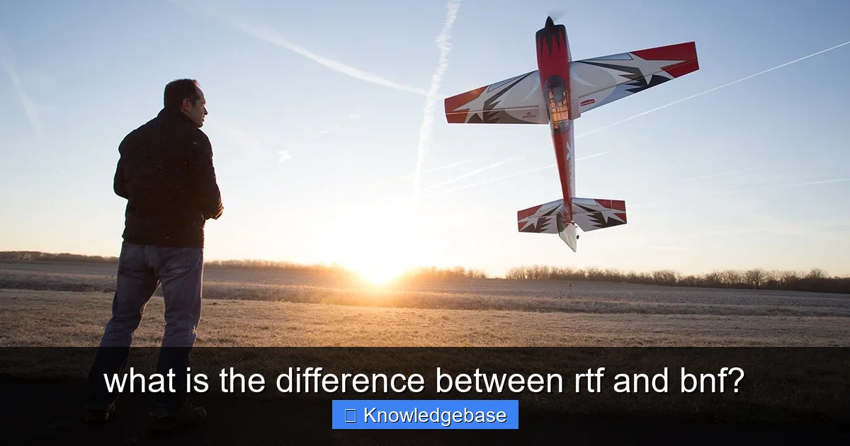 what is the difference between rtf and bnf? - content1 visual guide