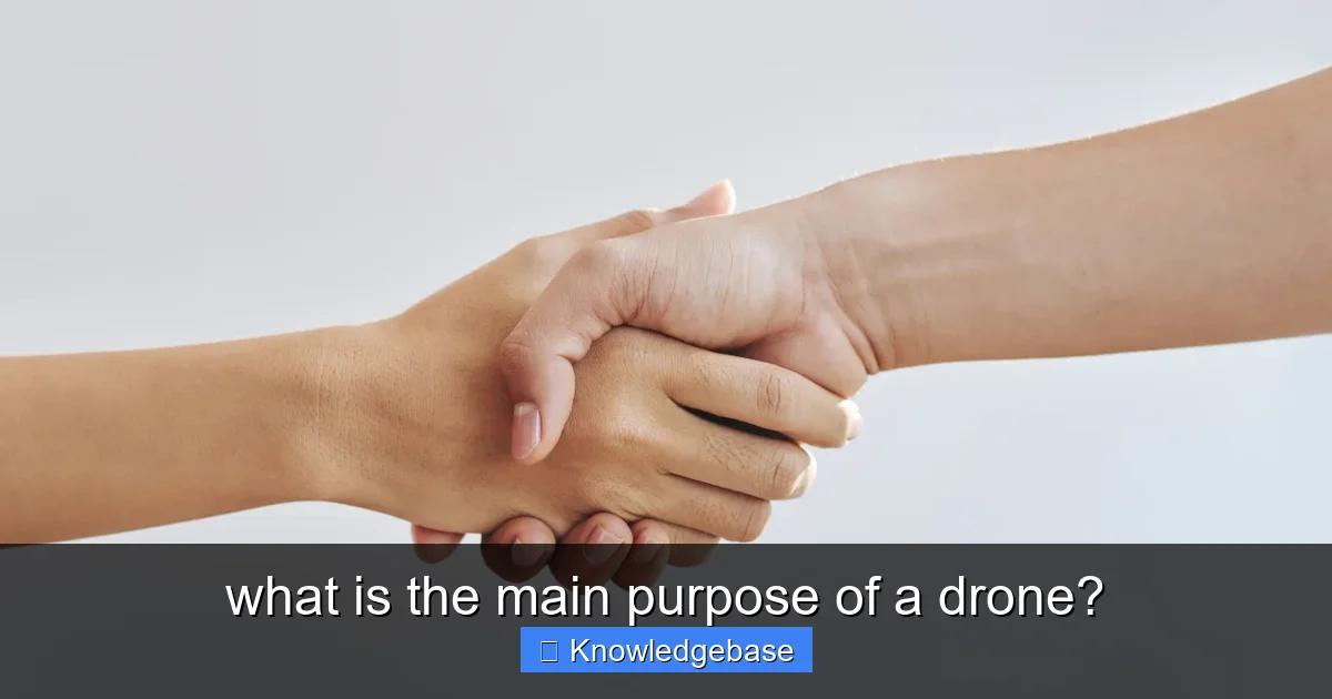what is the main purpose of a drone? - content1 visual guide
