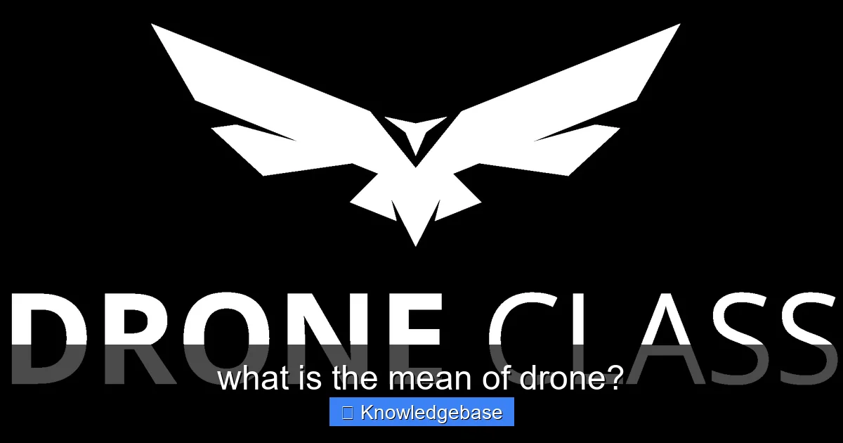 what is the mean of drone? - content1 visual guide
