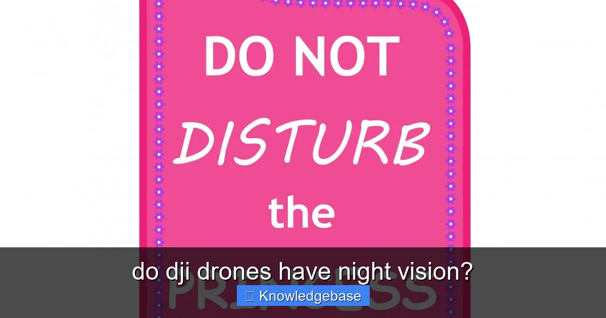 Featured image for do dji drones have night vision?