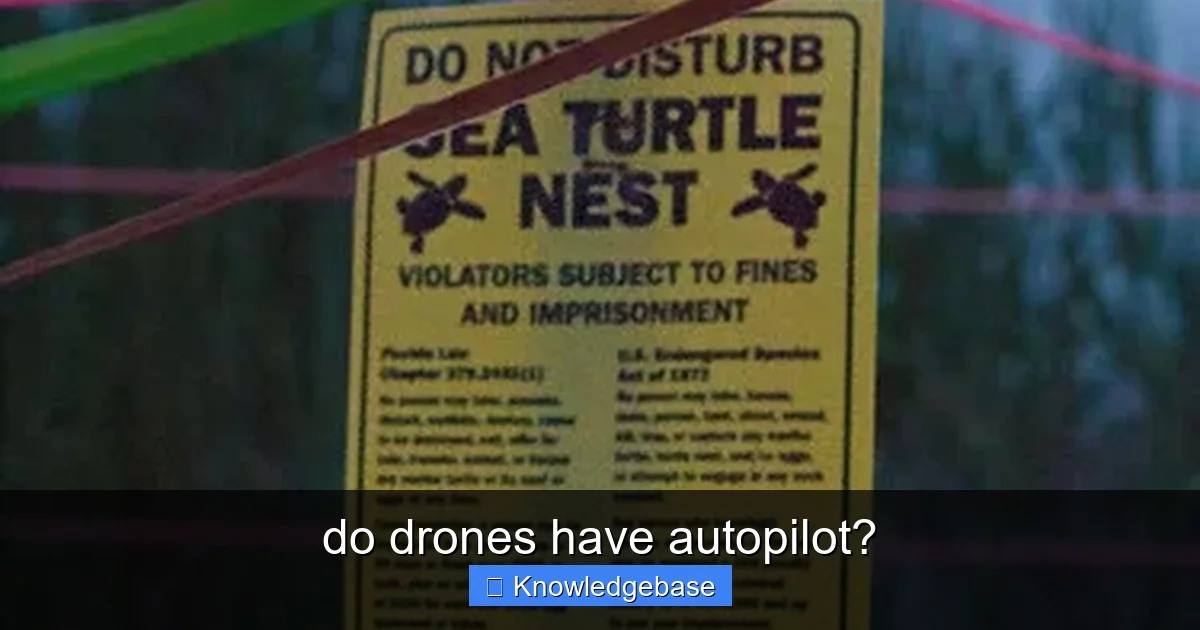 Featured image for do drones have autopilot?