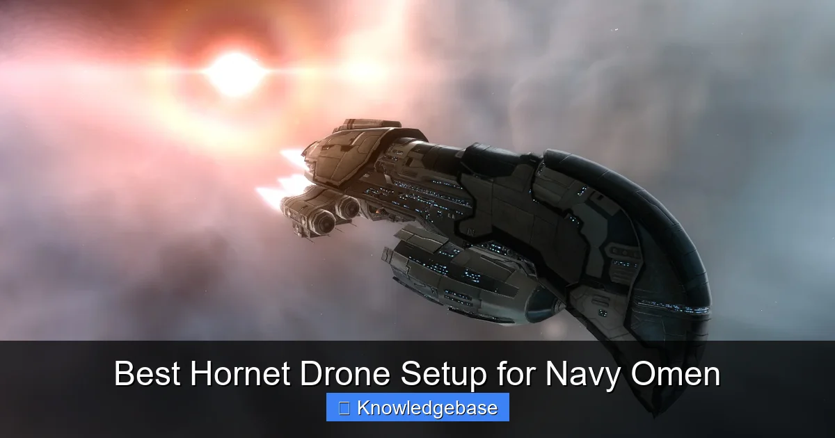 Featured image for Best Hornet Drone Setup for Navy Omen