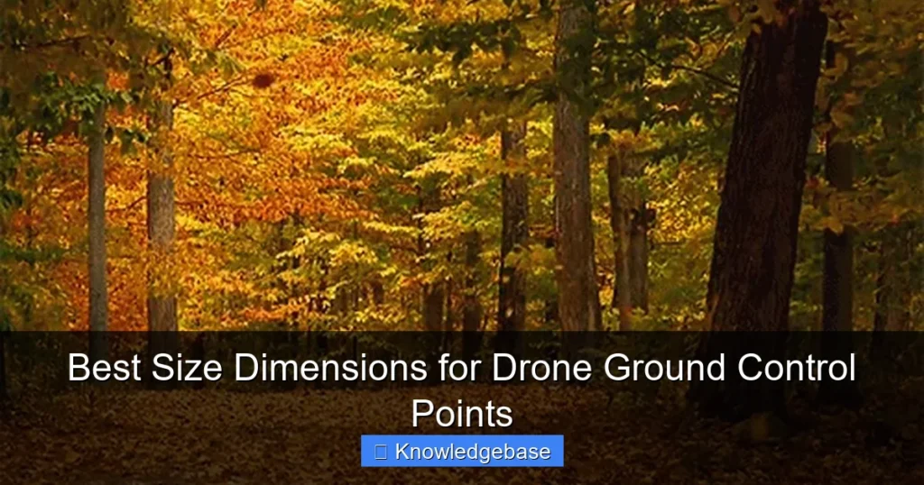 Featured image for Best Size Dimensions for Drone Ground Control Points