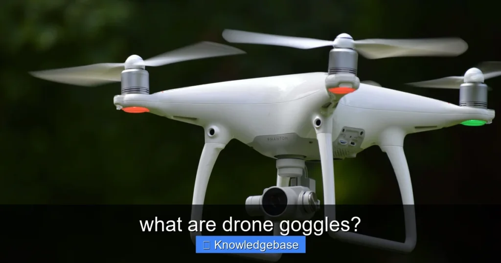 Featured image for what are drone goggles?