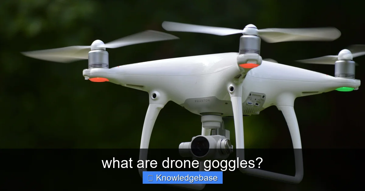 Featured image for what are drone goggles?