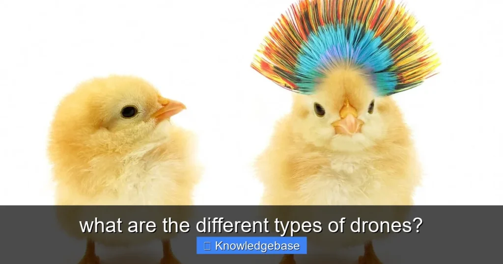 Featured image for what are the different types of drones?