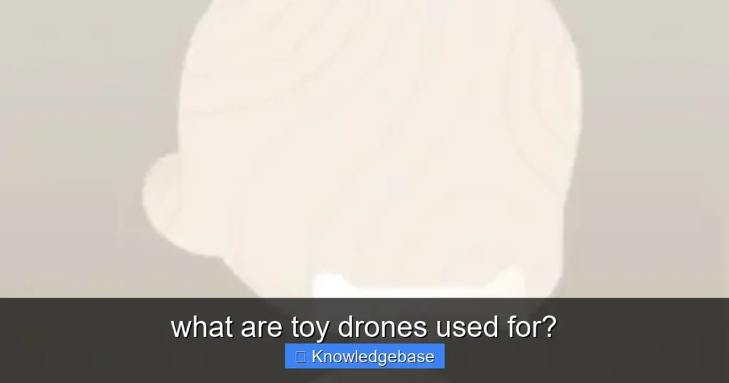 Featured image for what are toy drones used for?