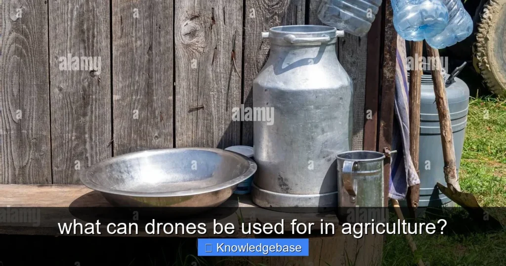 Featured image for what can drones be used for in agriculture?