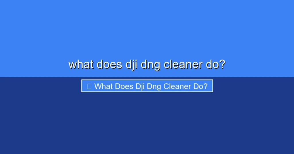 Featured image for what does dji dng cleaner do?