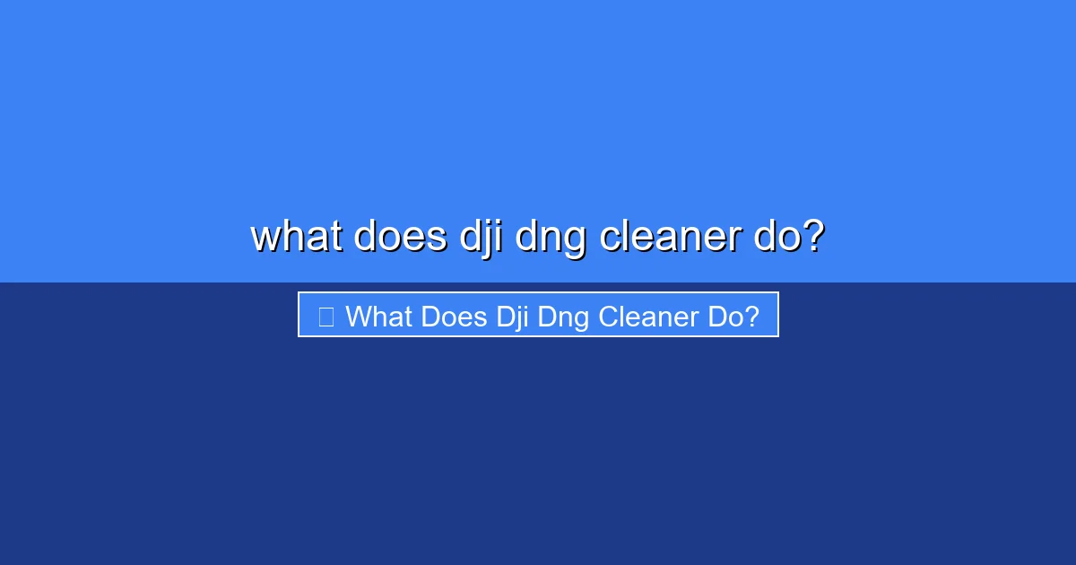 Featured image for what does dji dng cleaner do?