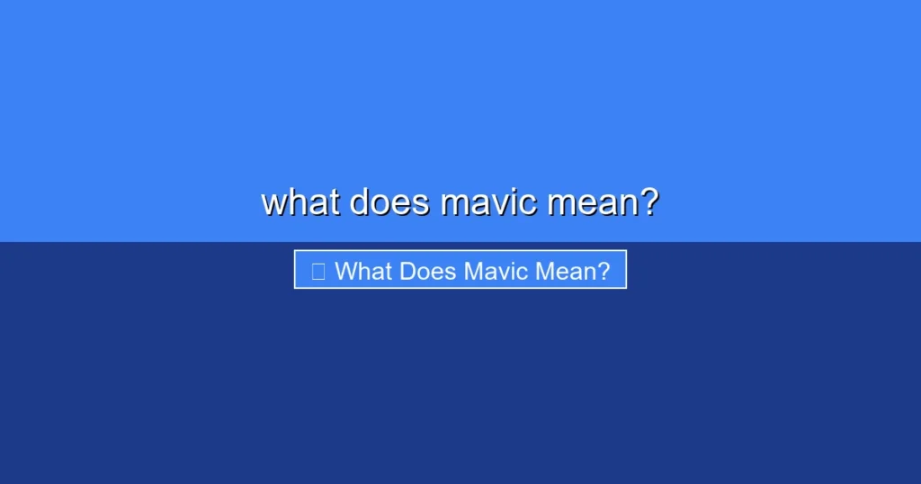 Featured image for what does mavic mean?