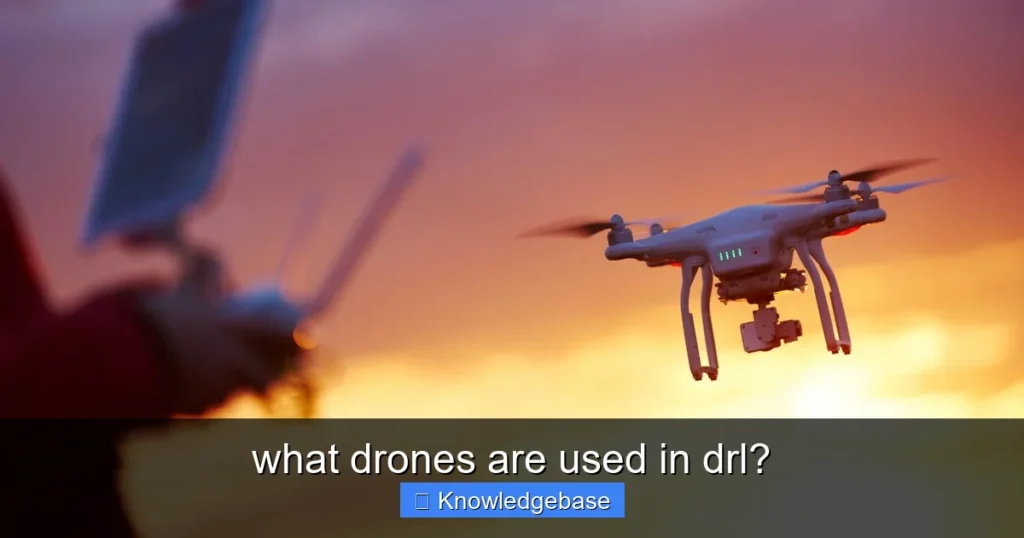 Featured image for what drones are used in drl?