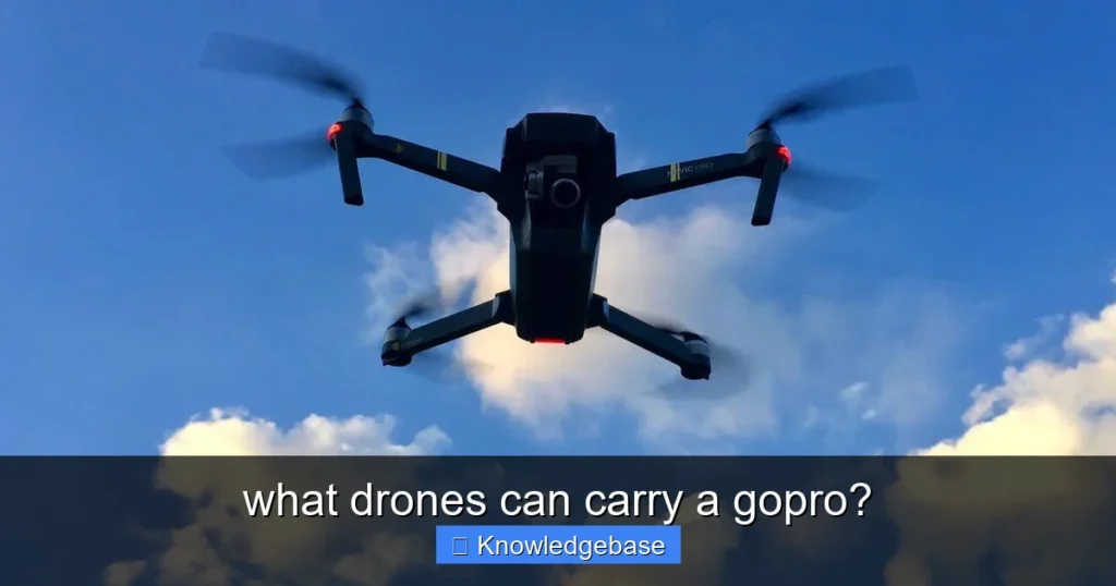Featured image for what drones can carry a gopro?