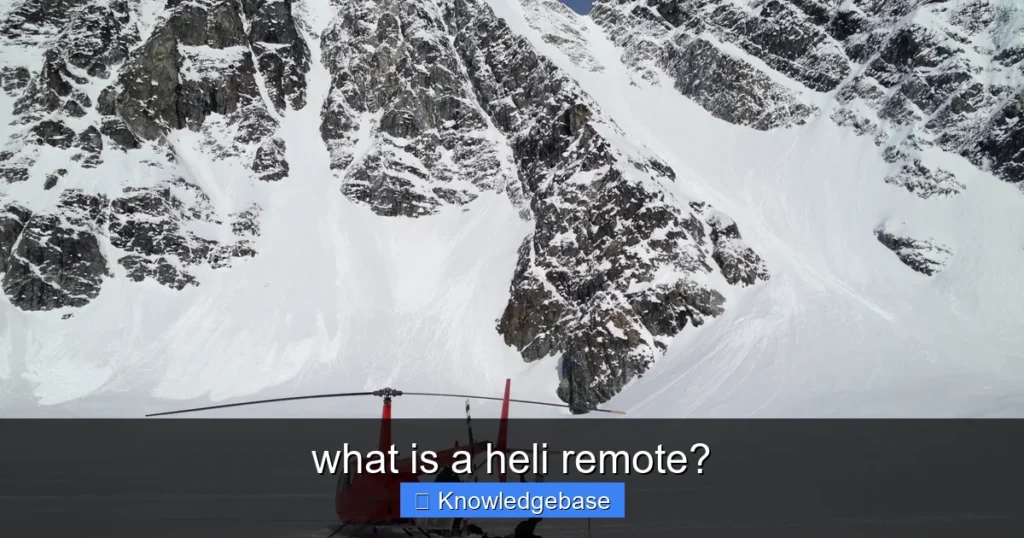 Featured image for what is a heli remote?