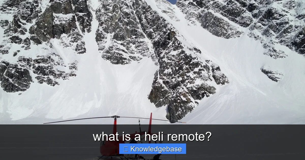 Featured image for what is a heli remote?