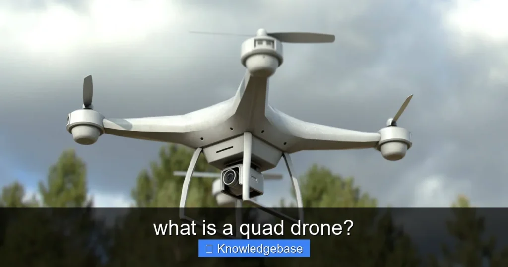 Featured image for what is a quad drone?