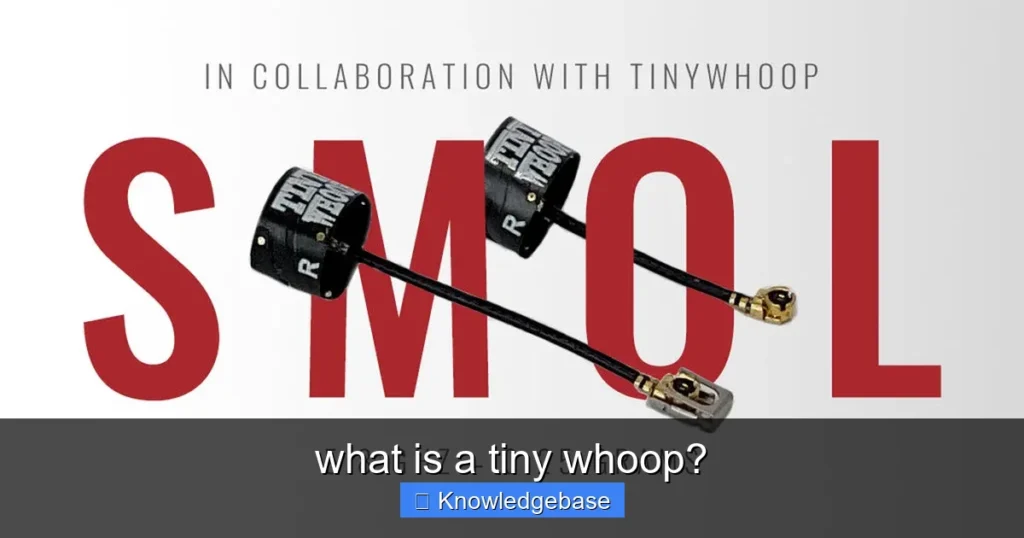 Featured image for what is a tiny whoop?