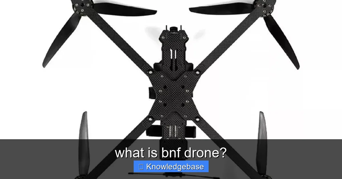 Featured image for what is bnf drone?