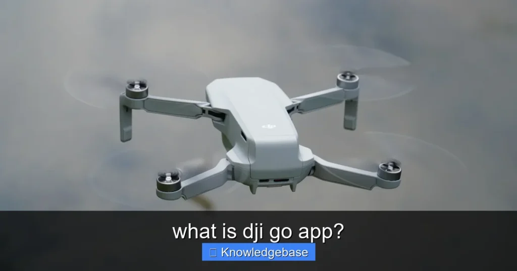 Featured image for what is dji go app?