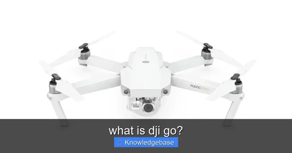 Featured image for what is dji go?
