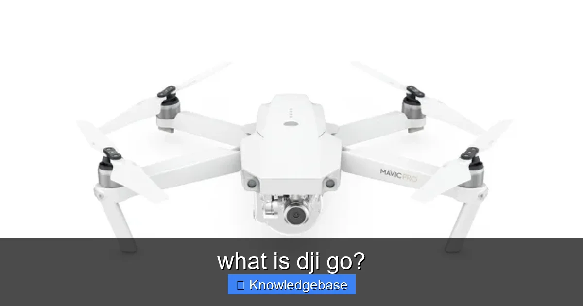 Featured image for what is dji go?