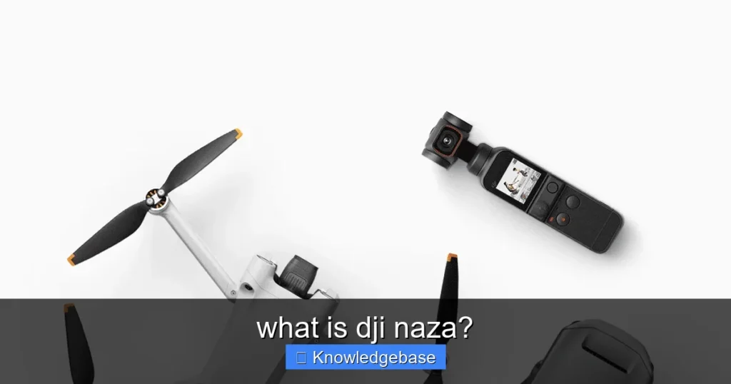 Featured image for what is dji naza?