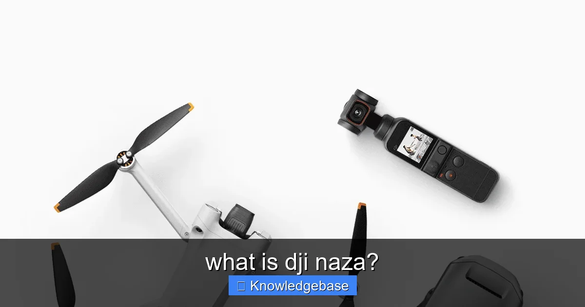 Featured image for what is dji naza?