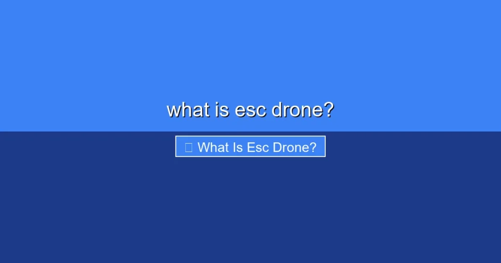 Featured image for what is esc drone?