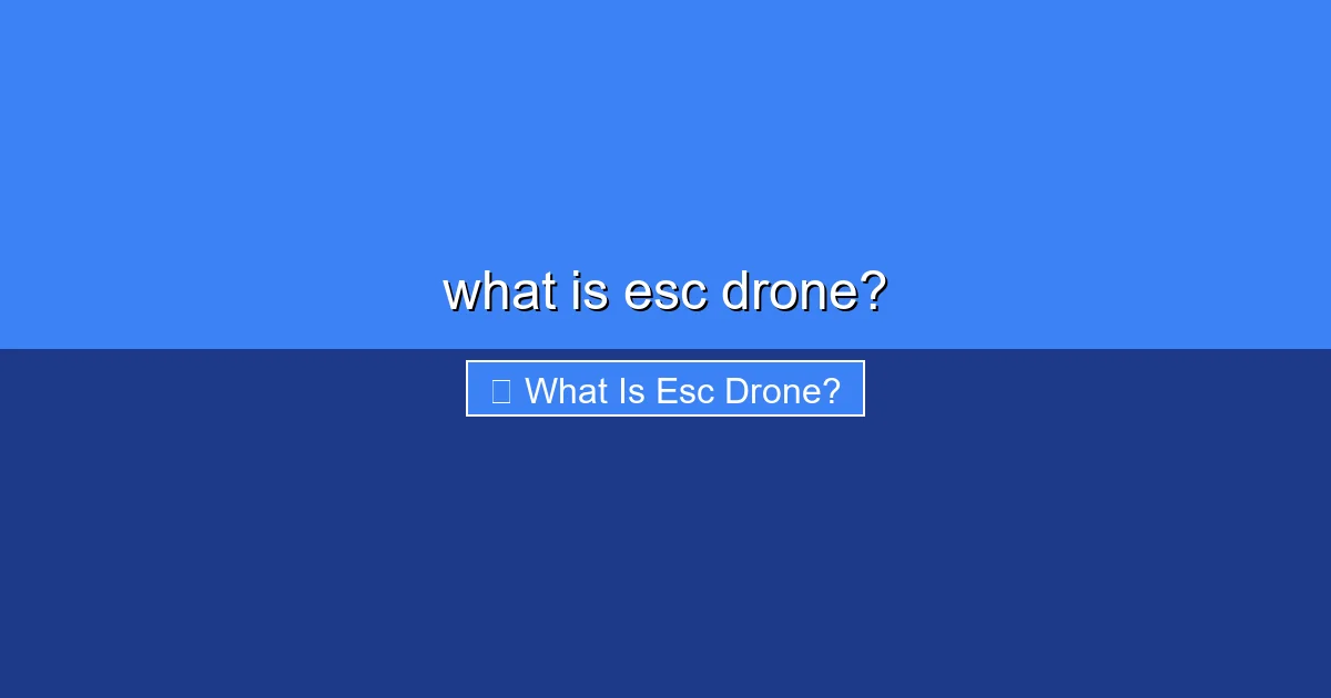 Featured image for what is esc drone?