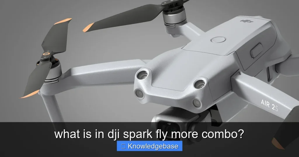 Featured image for what is in dji spark fly more combo?
