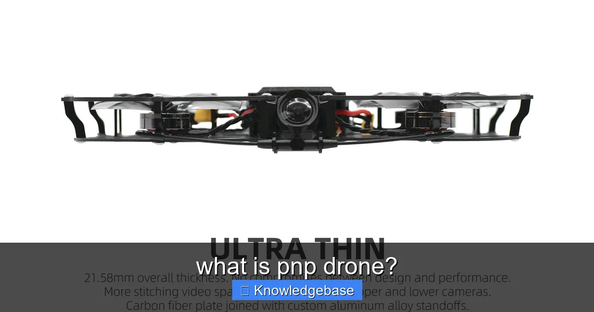 Featured image for what is pnp drone?
