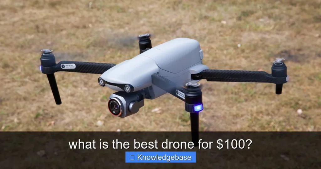Featured image for what is the best drone for $100?