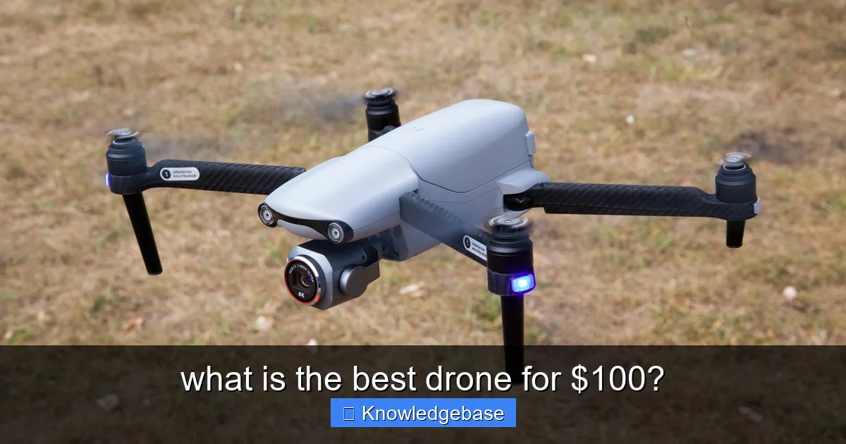 Featured image for what is the best drone for $100?