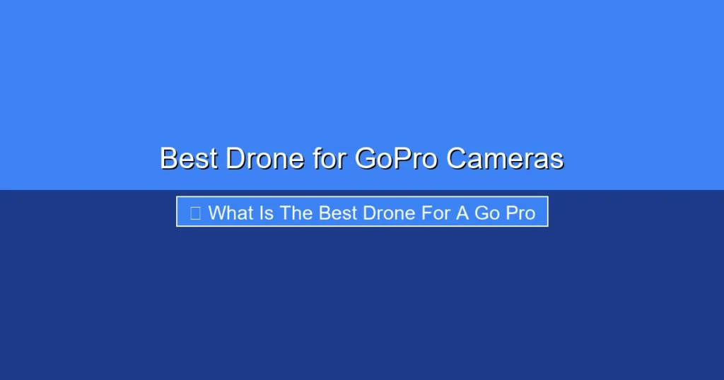 Featured image for Best Drone for GoPro Cameras