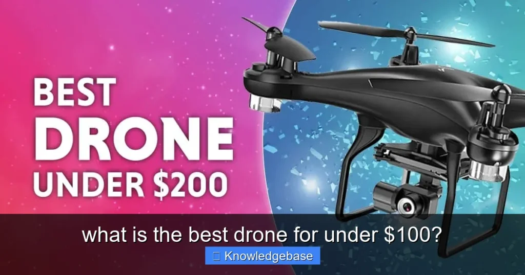 Featured image for what is the best drone for under $100?