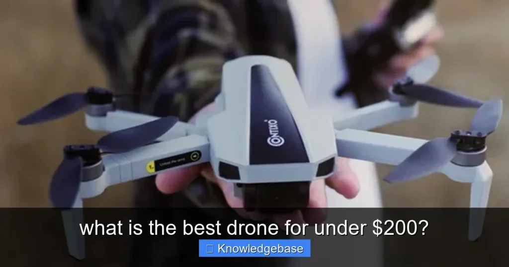 Featured image for what is the best drone for under $200?