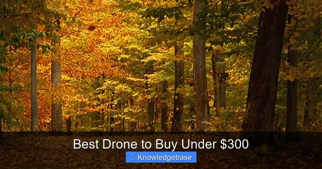 Featured image for Best Drone to Buy Under $300