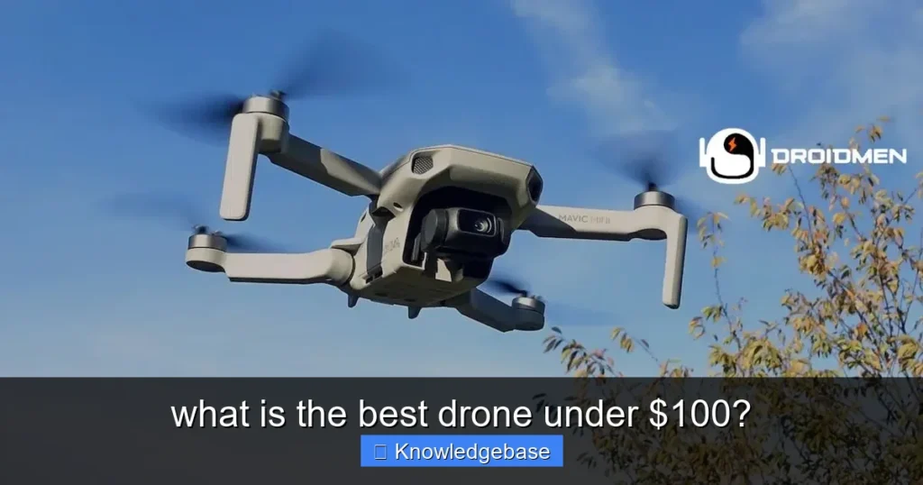 Featured image for what is the best drone under $100?