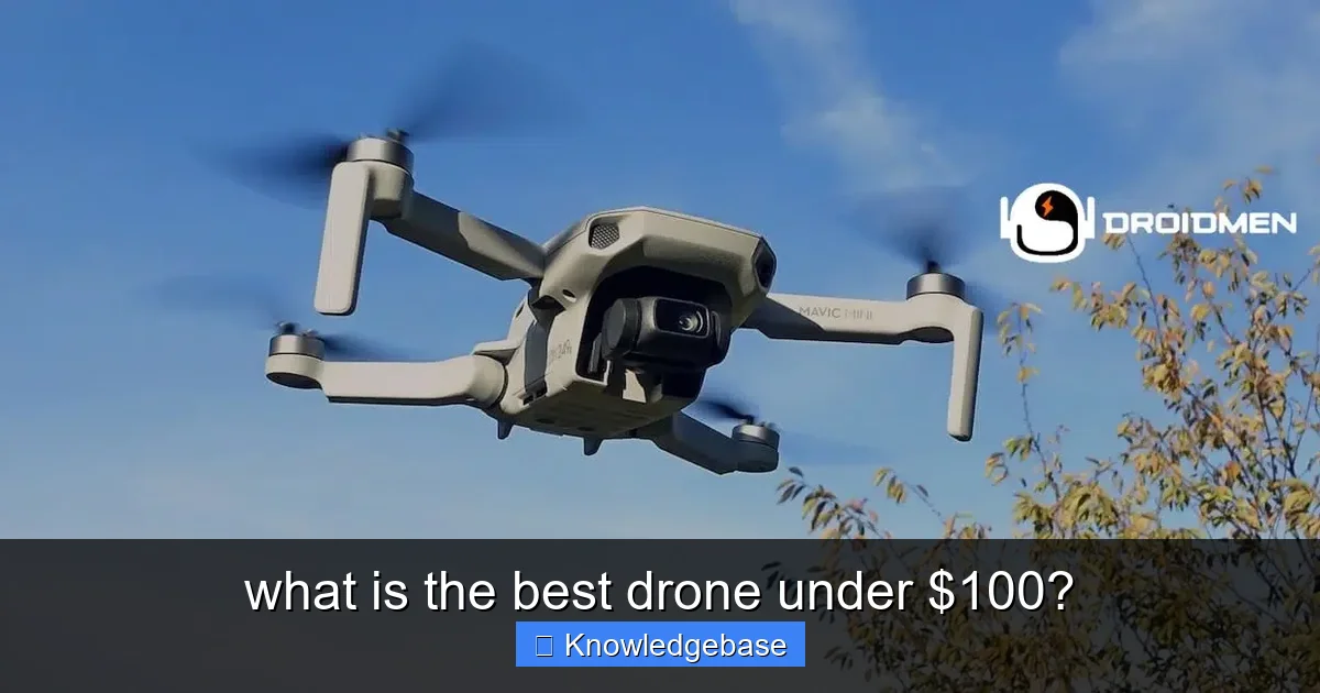 Featured image for what is the best drone under $100?