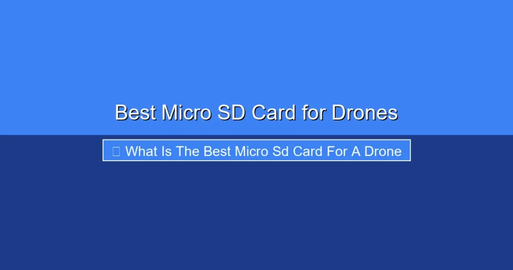 Featured image for Best Micro SD Card for Drones