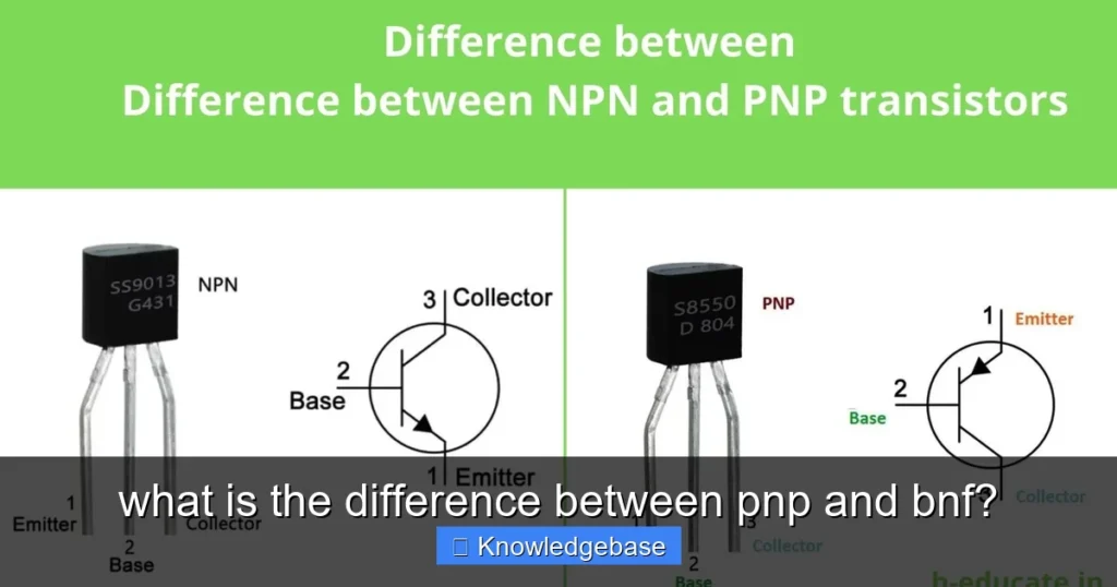 Featured image for what is the difference between pnp and bnf?
