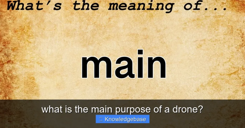 Featured image for what is the main purpose of a drone?