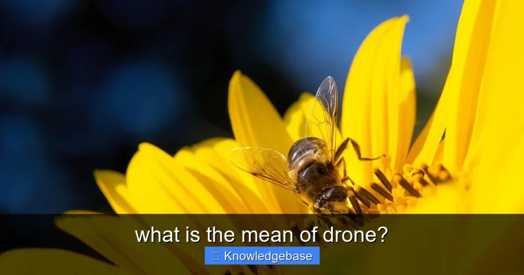 Featured image for what is the mean of drone?