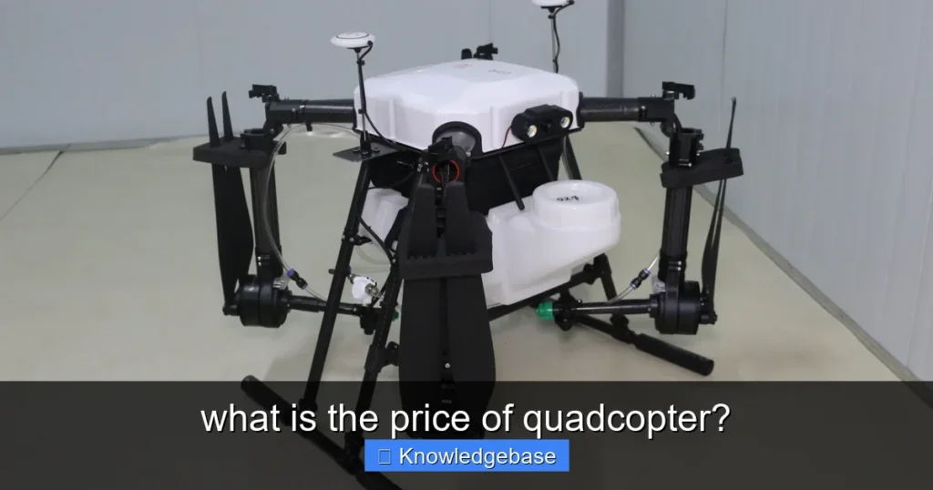 Featured image for what is the price of quadcopter?