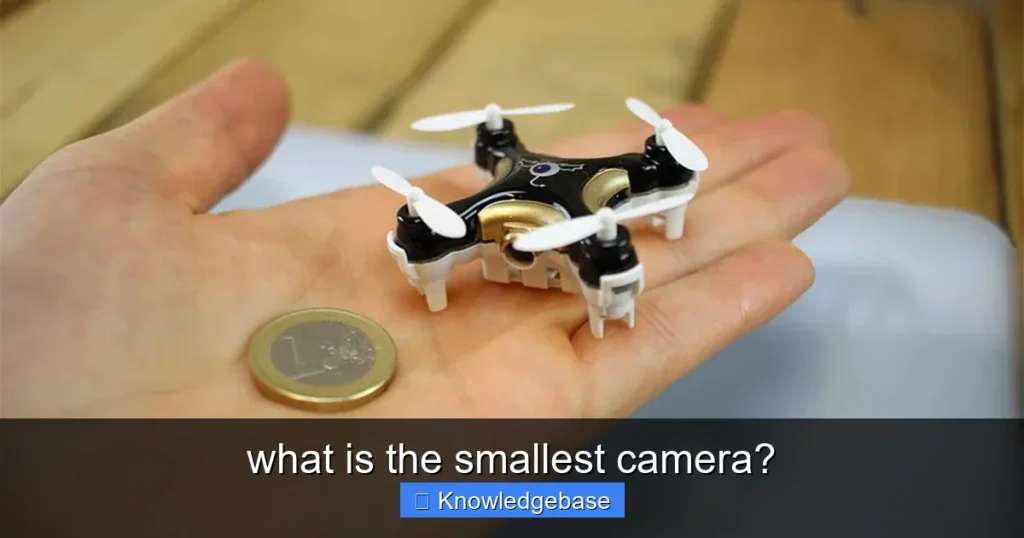 Featured image for what is the smallest camera?