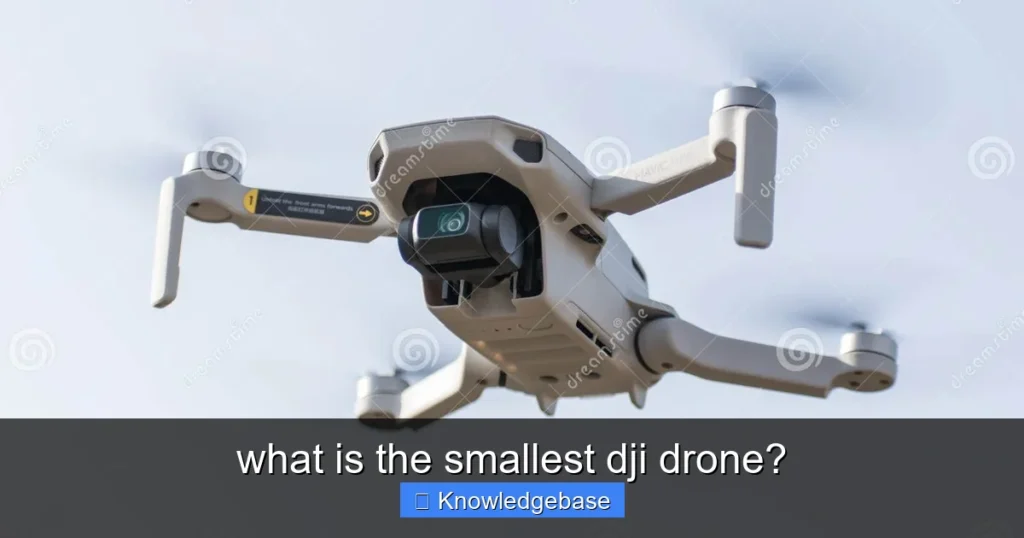 Featured image for what is the smallest dji drone?