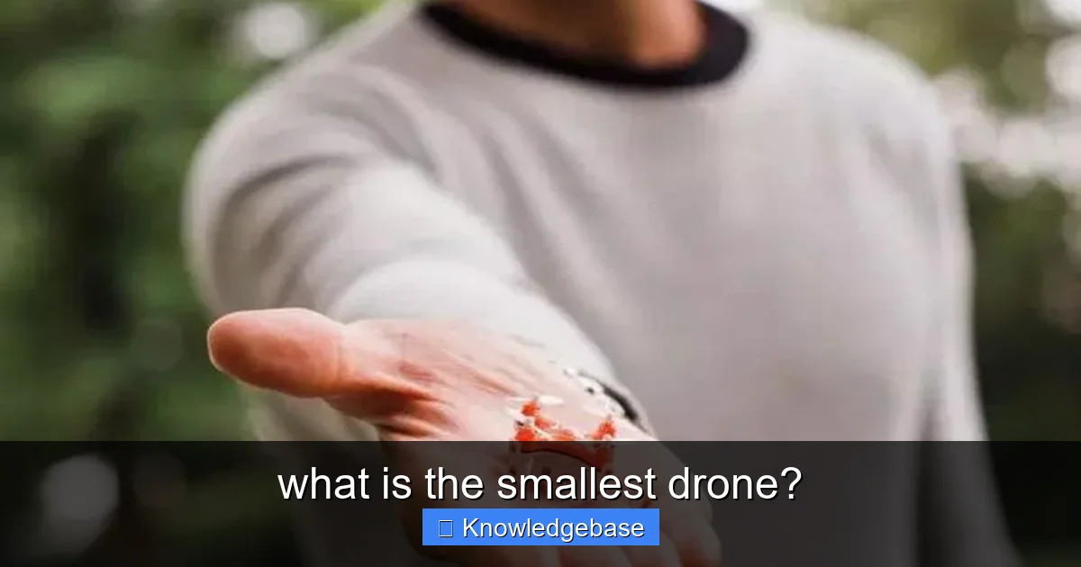 Featured image for what is the smallest drone?
